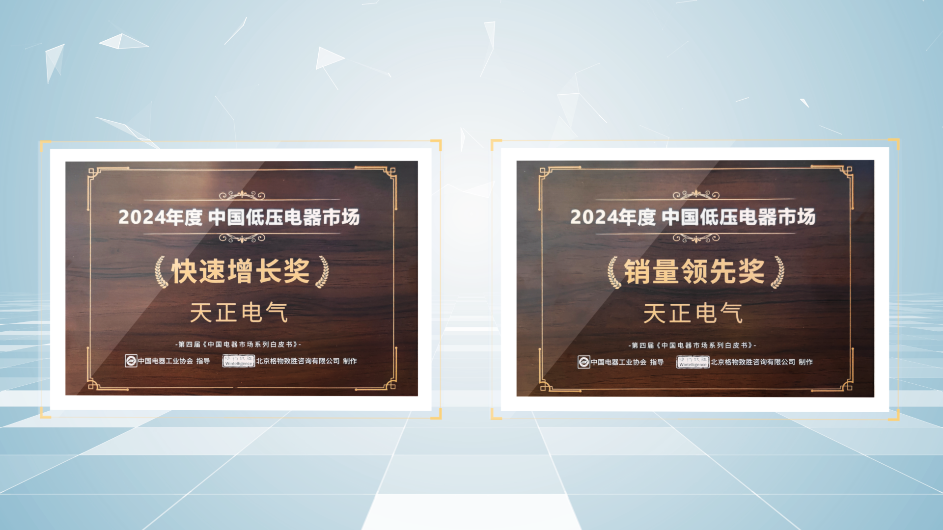 销量领先、快速增长丨好博荣膺2项行业年度大奖